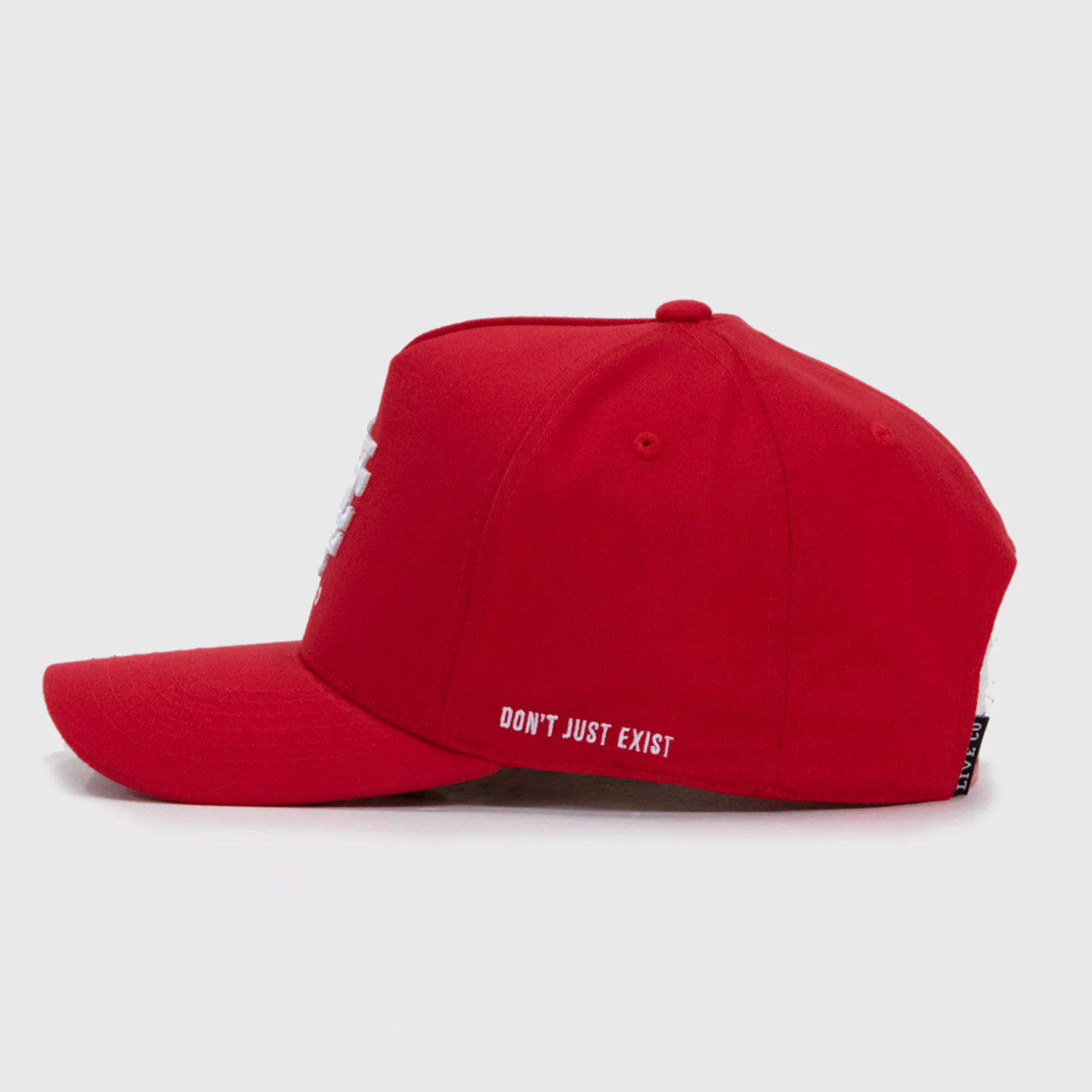 DEEP FIT LVCO "Blood Red" A-Frame Snapback - Image 3
